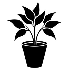 Plant vector illustration, plant in a pot isolated on white, plant silhouette, plant in a pot vector art