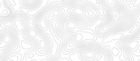 Abstract wave paper curved reliefs background .gradient multicolor wave curve lines banner background design .topographic contours map background .Vector geographic contour map.