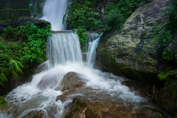 Beautiful Paglajhora waterfall on Kurseong, Himalayan mountains of Darjeeling, West Bengal, India. Origin of Mahananda River flowing through Mahananda Wildlife Sanctuary, Siliguri and Jalpaiguri.