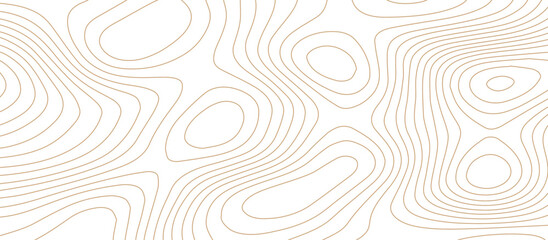 Abstract wave paper curved reliefs background .gradient multicolor wave curve lines banner background design .topographic contours map background .Vector geographic contour map.