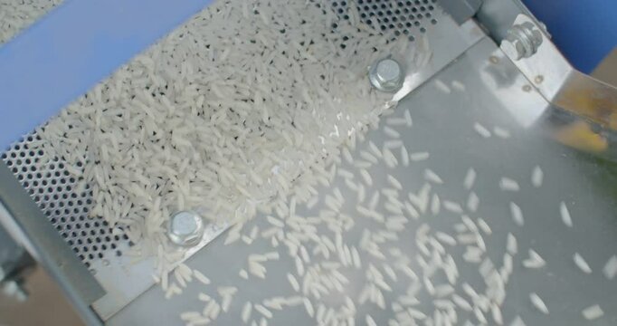 White rice that has gone through the milling process is flowing down.Close up shot.Milling your own rice is safer and the rice has a more fragrant aroma.