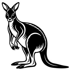 kangaroo white background 