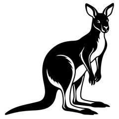 kangaroo white background 