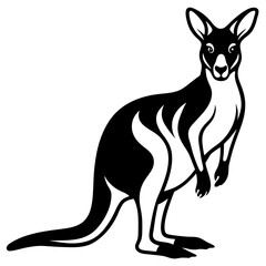 kangaroo white background 