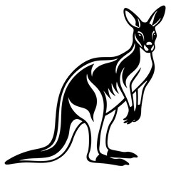 kangaroo white background 