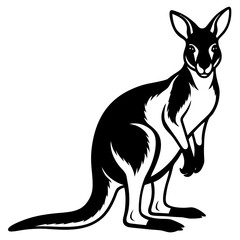 kangaroo white background 