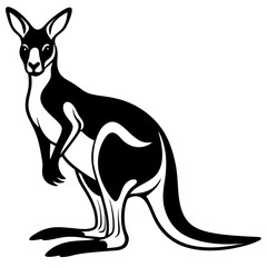 kangaroo white background 