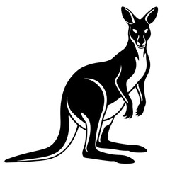 kangaroo white background 