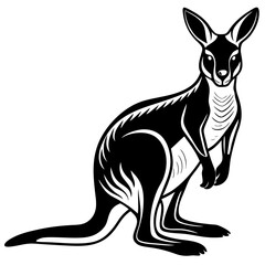 kangaroo white background 