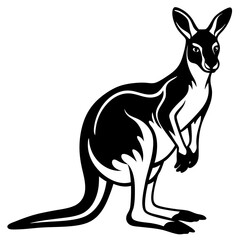kangaroo white background 