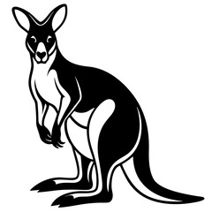 kangaroo white background 