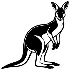 kangaroo white background 