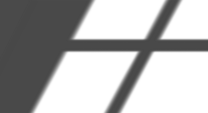 Realistic transparent shadow from a leaf of a palm tree on the transparent background. Tropical leaves shadow. Mockup with palm leaves shadow