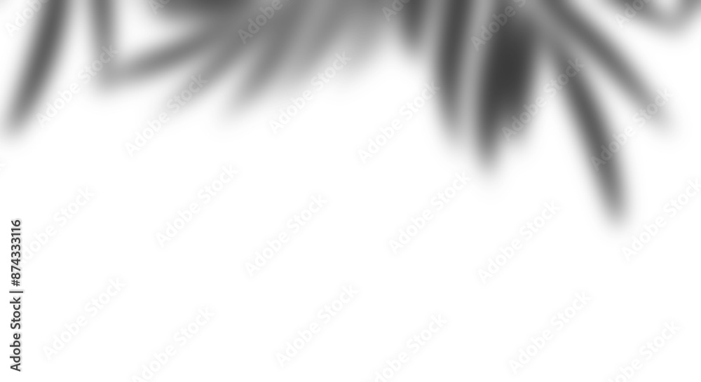 Poster Realistic transparent shadow from a leaf of a palm tree on the transparent background. Tropical leaves shadow. Mockup with palm leaves shadow