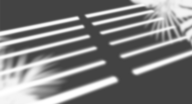 Realistic transparent shadow from a leaf of a palm tree on the transparent background. Tropical leaves shadow. Mockup with palm leaves shadow