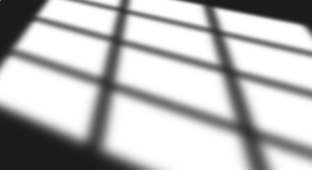 Leaves and window shadow overlay effect 