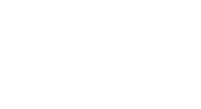 Leaves and window shadow overlay effect 