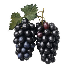Fototapeta premium Grapes on transparent background