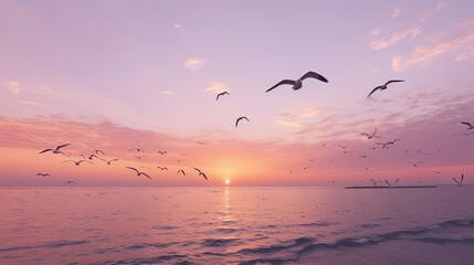 Fototapeta premium sunset over the sea