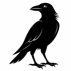 crow vector illustration, crow isolated on white, crow silhouette, crow vector art
