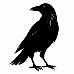 crow vector illustration, crow isolated on white, crow silhouette, crow vector art
