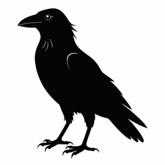 crow vector illustration, crow isolated on white, crow silhouette, crow vector art
