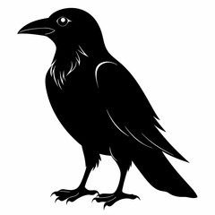 crow vector illustration, crow isolated on white, crow silhouette, crow vector art
