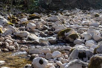 A shallow riverbed with an exposed rocky bottom, a small stream and a flow of water, autumn in nature
