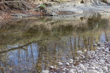 A shallow riverbed with an exposed rocky bottom, a small stream and a flow of water, autumn in nature