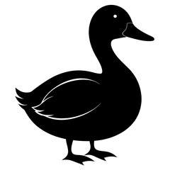 duck  vector illustration, duck  isolated on white, duck  silhouette, duck  vector art