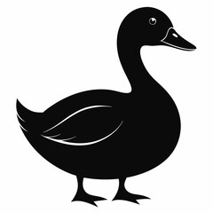 duck  vector illustration, duck  isolated on white, duck  silhouette, duck  vector art