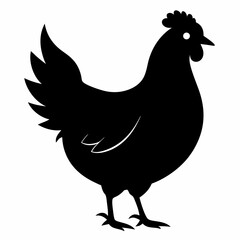 Hen vector illustration, rooster isolated on white, hen silhouette, chicken vector art, hen and rooster