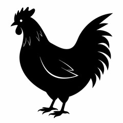 Hen vector illustration, rooster isolated on white, hen silhouette, chicken vector art, hen and rooster