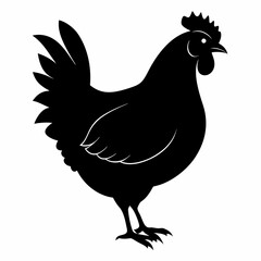 Hen vector illustration, rooster isolated on white, hen silhouette, chicken vector art, hen and rooster