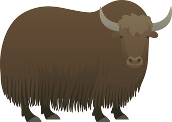 Yak with horns realistic vector illustration. Tartary or grunting wild ox standing side view color graphic. Hairy cattle isolated on white background. Domestic farm animal.