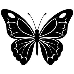 black butterfly silhouette vector illustration.
