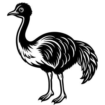 recommend clip art: Cassowary bird goes icon vector illustration.