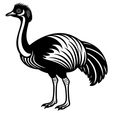 recommend clip art: Cassowary bird goes icon vector illustration.