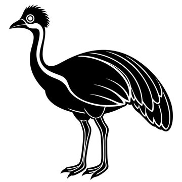 recommend clip art: Cassowary bird goes icon vector illustration.