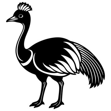 recommend clip art: Cassowary bird goes icon vector illustration.