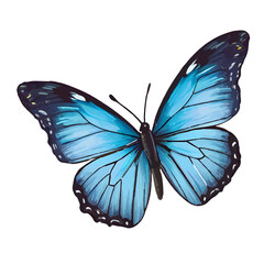 Elegant Vector Illustration of a Colorful Butterfly with Intricate Wing Patterns and Gradient Colors - Perfect for Digital Art and Design Projects