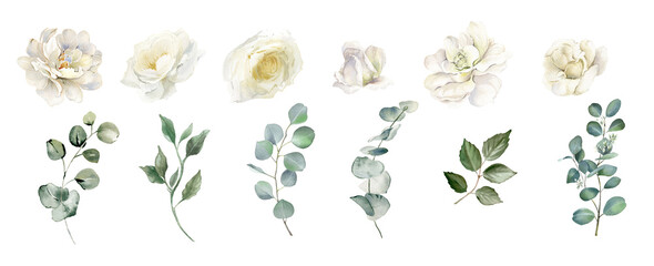 White flowers isolated. Alabaster roses, creamy peony bouquets, ivory elegant florals. Eucalyptus leaves greenery. Watercolor floral illustration isolated on transparent background. Wedding clip art © Nataliya Kunitsyna