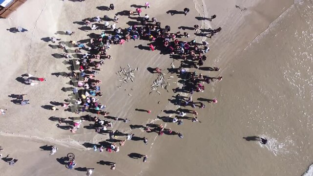 Pescadores de tainha