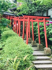 鳥居と神社