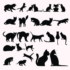 Animales new vector design