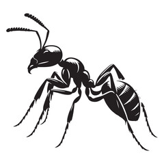 Ant black illustration design eps