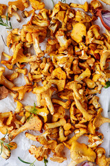 Wild chanterelle mushrooms freshly picked in the forest.top veiw.