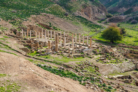 View at the Forum and landscape with Roman ruins of the ancient city  Pella, North Jordan, Jordan, Middle East