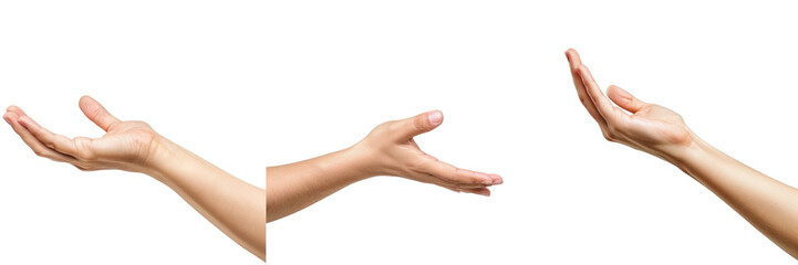 Open Hand Gestures Set Isolated on White Background, PNG File