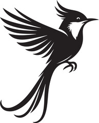 Paradise flycatcher bird silhouette isolated on white